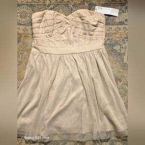 NWT BCBGenration Corset Mini Dress